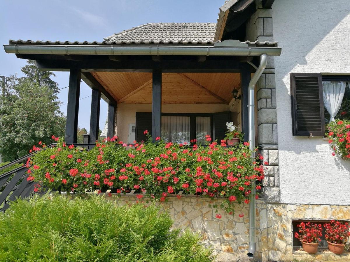 House Marica Villa Poljanak Bagian luar foto